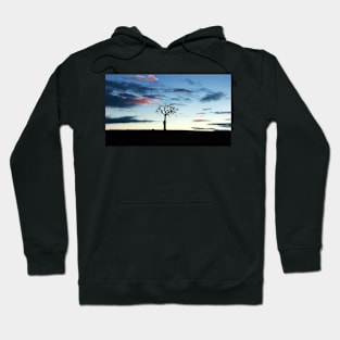 Oh Tree of Darkness Hoodie